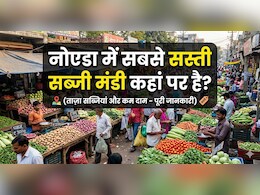 शाम 6 बजे के बाद आधे दाम पर मिलती है सब्जियां, नोएडा की इस मंडी में मिलती हैं सबसे सस्ती ताजी सब्जियां