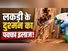 Termite Removal Tips: दीमक से हैं परेशान? बिना केमिकल के ऐसे भगाएं