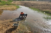 ऊर्जा राजधानी सिंगरौली में जल संकट, गड्ढों से पानी पी रहे इंसान और जानवर; NDTV ग्राउंड रिपोर्ट