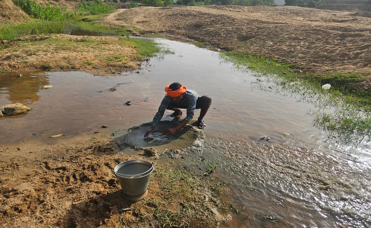 ऊर्जा राजधानी सिंगरौली में जल संकट, गड्ढों से पानी पी रहे इंसान और जानवर; NDTV ग्राउंड रिपोर्ट