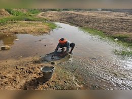 ऊर्जा राजधानी सिंगरौली में जल संकट, गड्ढों से पानी पी रहे इंसान और जानवर; NDTV ग्राउंड रिपोर्ट