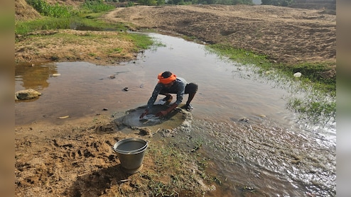 ऊर्जा राजधानी सिंगरौली में जल संकट, गड्ढों से पानी पी रहे इंसान और जानवर; NDTV ग्राउंड रिपोर्ट