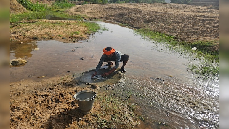 ऊर्जा राजधानी सिंगरौली में जल संकट, गड्ढों से पानी पी रहे इंसान और जानवर; NDTV ग्राउंड रिपोर्ट