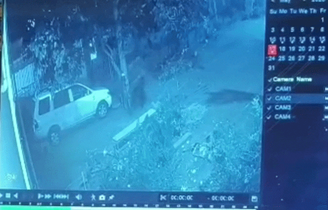 VIDEO: रात के अंधेरे में घर में घुसे 6-7 बदमाश, दो जोड़ी जूते लेकर हुए फरार, पुलिस तलाश में जुटी