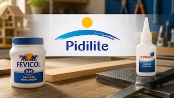 Pidilite Signals Further Price Hike As West Asia Crisis Fuels 40-50% Raw Material Inflation