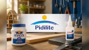 Pidilite Industries Q1 Results: Double-Digit Growth Across Revenue, Profit; Margin Expands