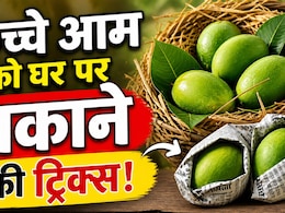 कच्चे आम को बिना केमिकल पकाने के 3 देसी तरीके, स्वाद शहद जैसा मीठा और सेहत की फुल गारंटी