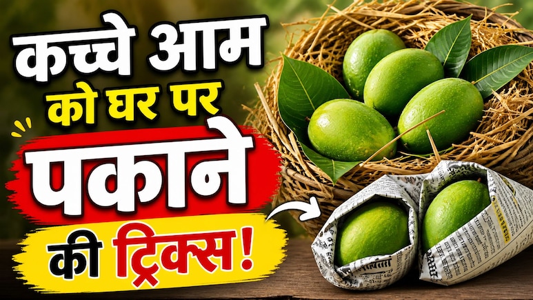 कच्चे आम को बिना केमिकल पकाने के 3 देसी तरीके, स्वाद शहद जैसा मीठा और सेहत की फुल गारंटी