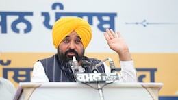 Row Over Dearness Allowance In Punjab, Opposition Targets Bhagwant Mann