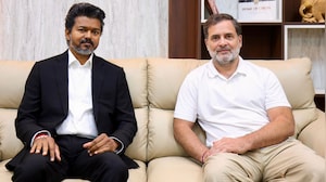 Vijay Won't Meet Gandhis Today, New Date Likely Next Week: Sources