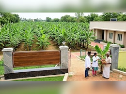 Agriculture Special : केले की खेती के ल&zwj;िए भारत में खुला पहला केला जीन बैंक, किसानों को संरक्षण के लिए मिलेंगे लाखों रुपये