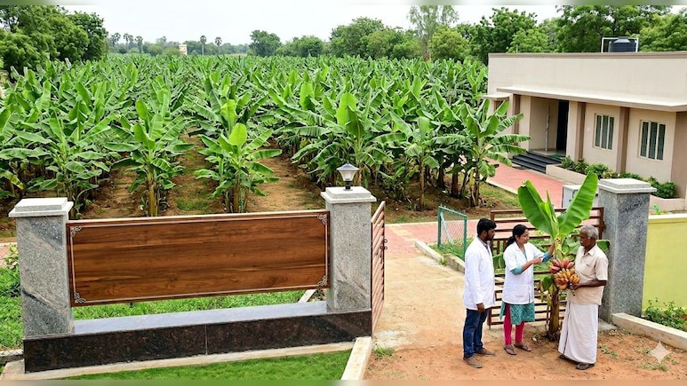 Agriculture Special : केले की खेती के ल&zwj;िए भारत में खुला पहला केला जीन बैंक, किसानों को संरक्षण के लिए मिलेंगे लाखों रुपये