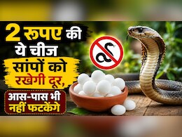 गर्मियों में सांपों को दूर रखेगी किचन में रखी ये एक चीज, घर के आस-पास छिड़क दें तो होगी Snakes की No-Entry