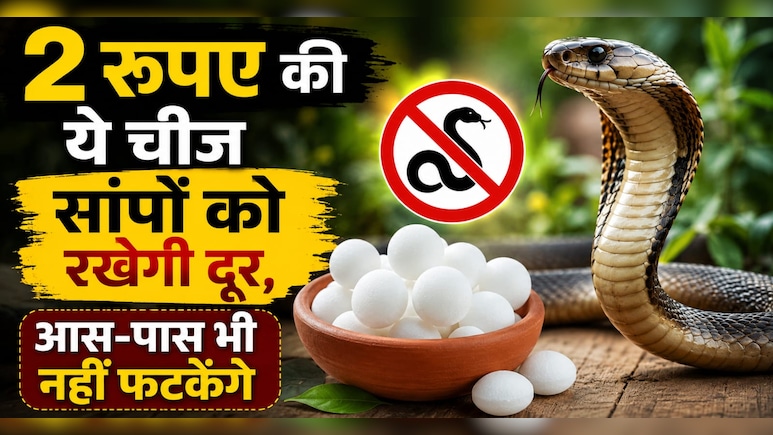गर्मियों में सांपों को दूर रखेगी किचन में रखी ये एक चीज, घर के आस-पास छिड़क दें तो होगी Snakes की No-Entry
