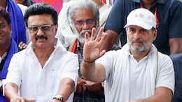 "Unacceptable": Congress On DMK's 'Will Never Trust' Jab On Vijay Tie-up