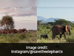 Heartwarming Video Shows 