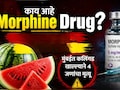 Mumbai Watermelon Case : कुटुंबातील 4 सदस्यांच्या मृत्यूनंतर Morphine चर्चेत; काय आहे हा जीवघेणा पदार्थ?