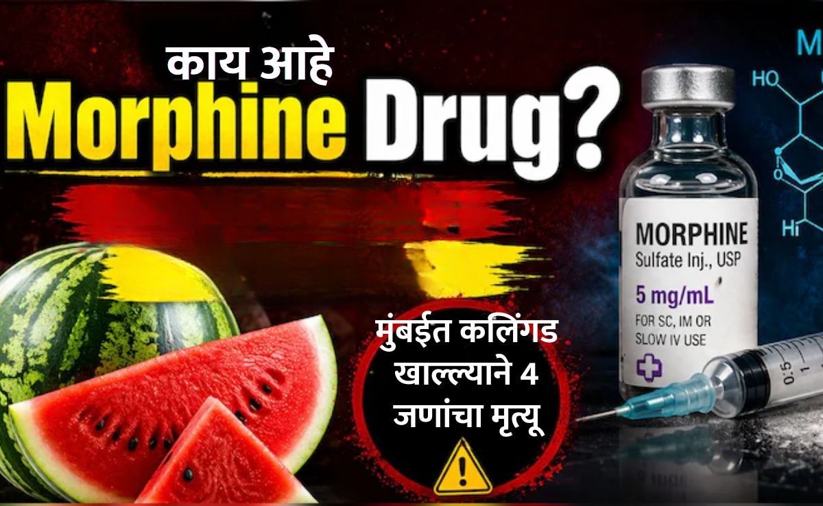 mumbai News watermelon 4 death case morphine found side effects what is ...