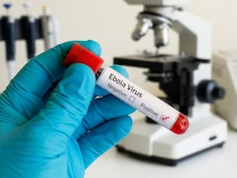 Ebola Outbreak 2026: WHO Reports Nearly 500 Confirmed Cases And 84 Deaths Across Congo And Uganda