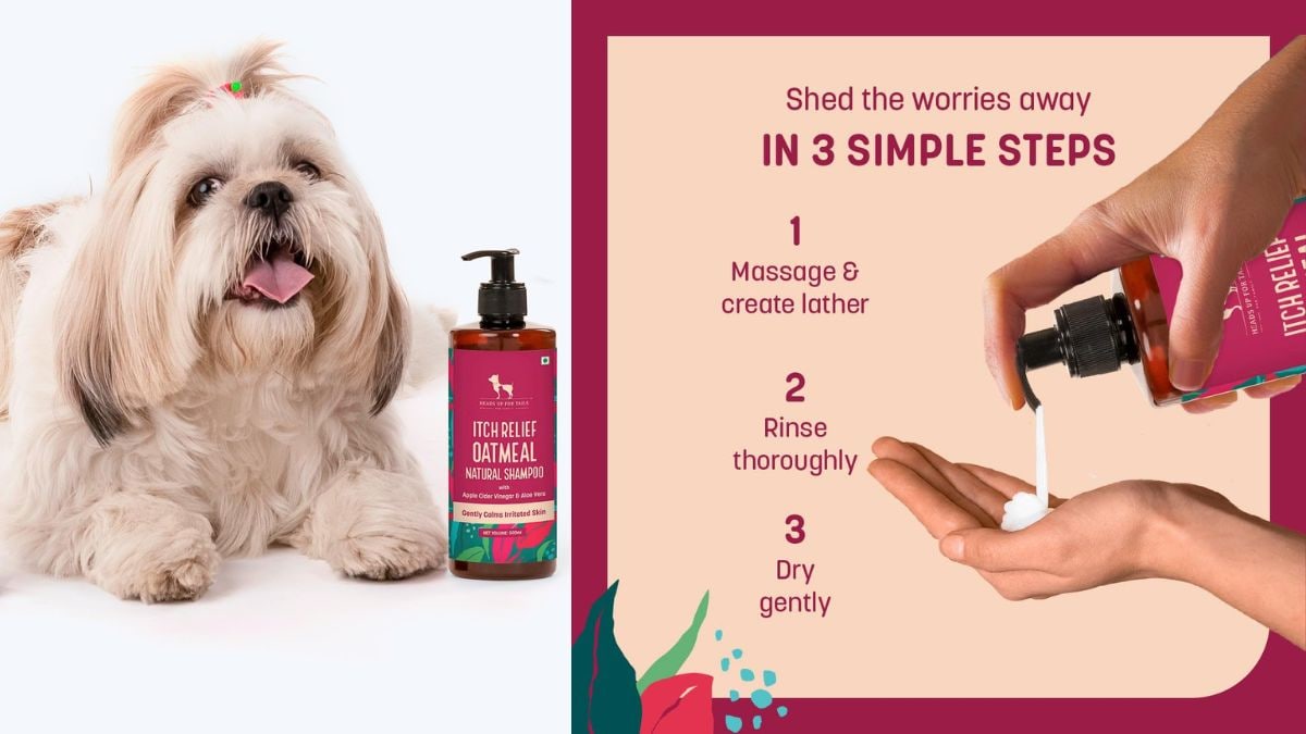 5 Best Pet Shampoos for Summer Itching Under ₹500: They contain anti-tick, anti-fungal and moisturising properties.