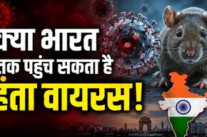 लग्जरी क्रूज पर फैला हंता वायरस! 3 मौतों से मचा हड़कंप, WHO ने भी कई देशों में जारी किया अलर्ट