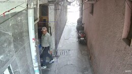 Video: Sickle In Bag, Man Tries To Rob Delhi Flats Posing As Technician