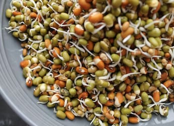 Easy To Make And Light On The Stomach, Sprouts Salad Is One Of The Best Cooling Dinner Meals