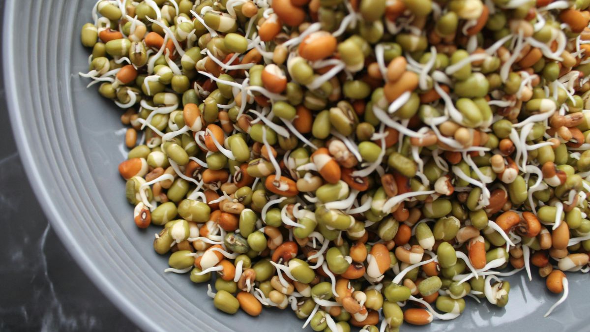 Easy And Light On The Stomach, Sprouts Salad Is The Best Cooling Dinner Meal