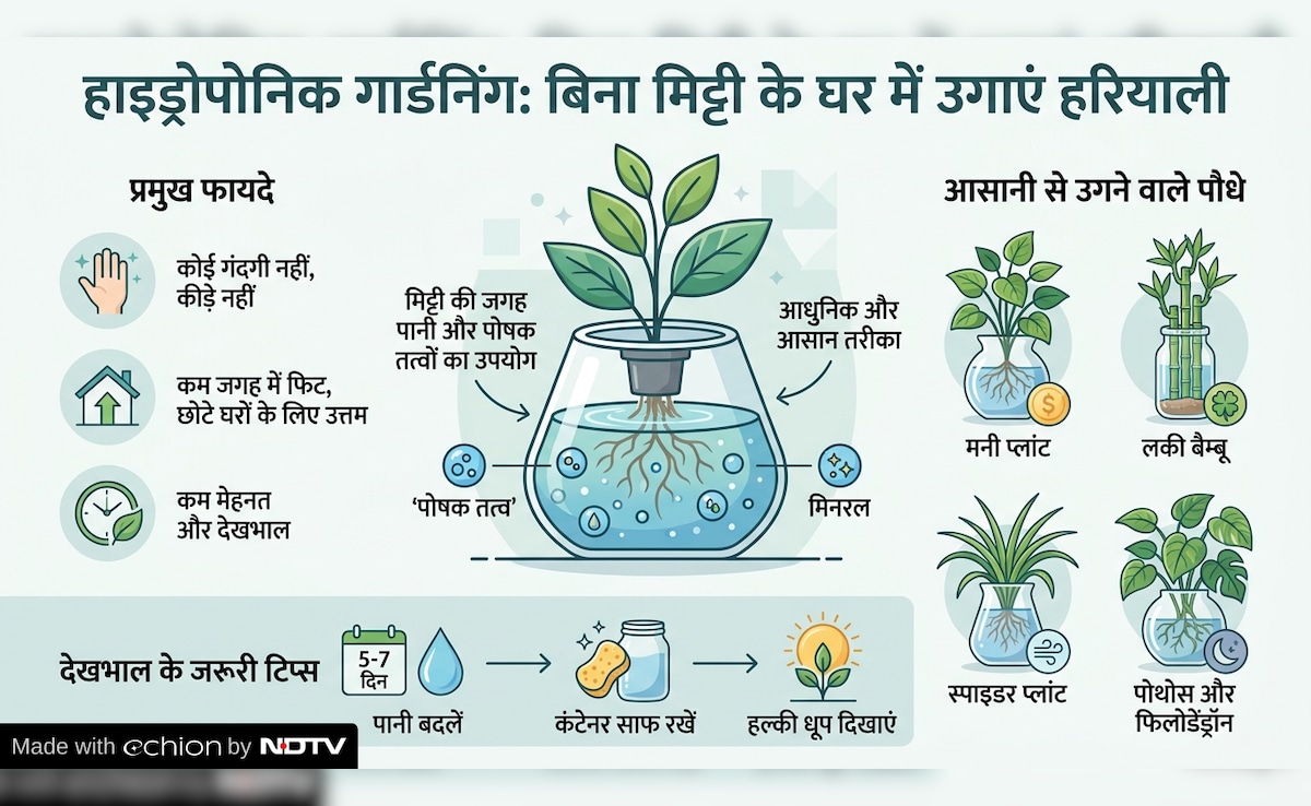 Latest and Breaking News on NDTV