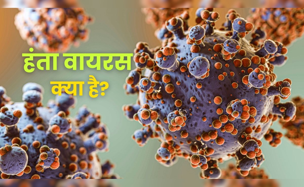 Hantavirus: हंता का मतलब क्या होता है? जिस नाम के वायरस ने दुनिया में मचाई खलबली