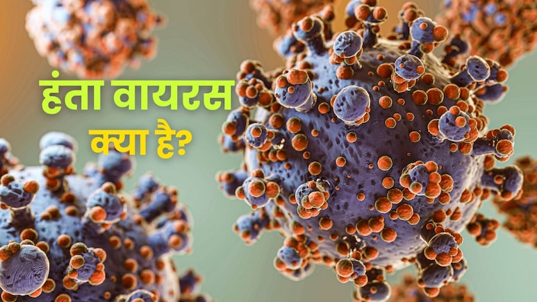हंता का मतलब क्या होता है? जानें कैसे पड़ा इस खतरनाक वायरस का नाम