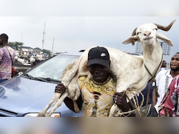 Bakrid 2026: ट्रंप की वजह से अफ्रीका के इस देश में बकरे महंगे क्यों हो गए?
