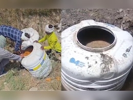 जंगल में चल रही अवैध शराब भट्ठी का भंडाफोड़, लाखों का माल नष्ट; ग्वालियर में आबकारी विभाग की कार्रवाई