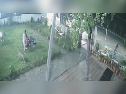 झारखंड: होटल में खाना खा रहे थे लोग, अचानक घुस आया हिरण; हर कोई रह गया हैरान
