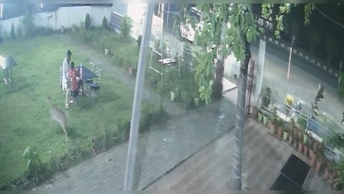 झारखंड: होटल में खाना खा रहे थे लोग, अचानक घुस आया हिरण; हर कोई रह गया हैरान
