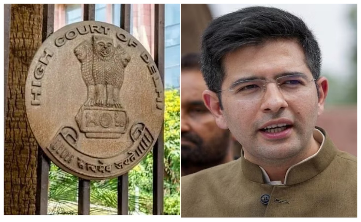 'राजनीतिक आलोचना प्राइवेसी का उल्लंघन नहीं', सांसद राघव चड्ढा की याचिका पर हाईकोर्ट की टिप्पणी