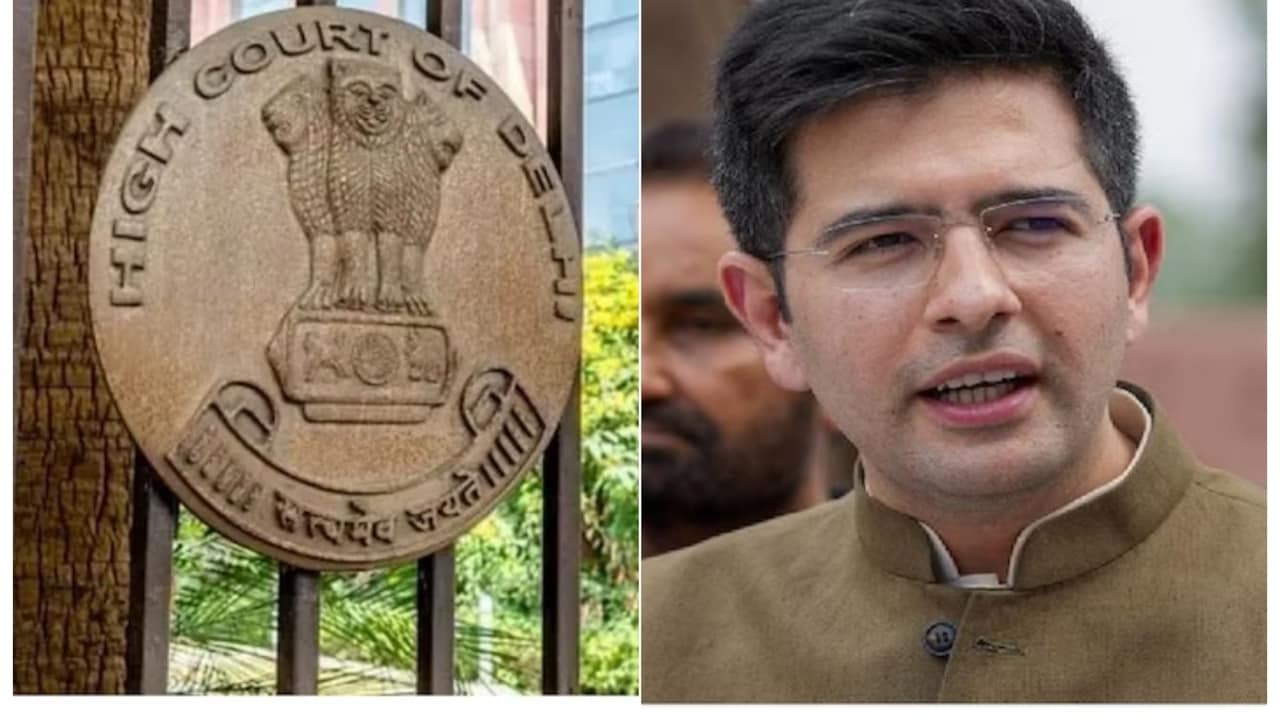 'सब कुछ नहीं हटेगा...' दिल्ली हाईकोर्ट ने राघव चड्ढा की याचिका पर सिर्फ 5 पोस्ट हटाने का दिया आदेश