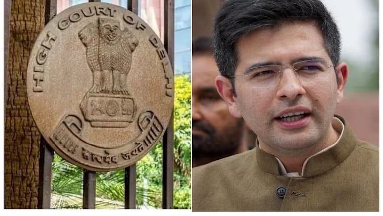 'राजनीतिक आलोचना प्राइवेसी का उल्लंघन नहीं', सांसद राघव चड्ढा की याचिका पर हाईकोर्ट की टिप्पणी