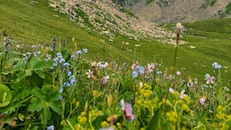 This Uttarakhand Trek Leads To A UNESCO World Heritage Site Filled With Flowers Every Monsoon