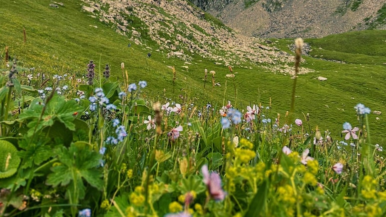 This Uttarakhand Trek Leads To A UNESCO World Heritage Site Filled With Flowers Every Monsoon