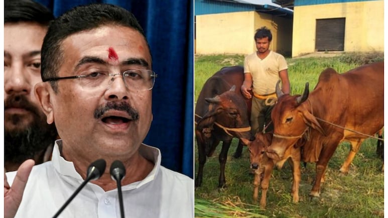 बंगाल में अब गौवंश की हत्या करने वालों की खैर नहीं, शुभेंदु सरकार के ये नियम नहीं माने तो होगी जेल