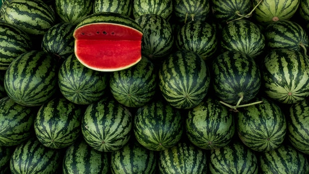 Which City Is Known As The Watermelon Capital Of India?