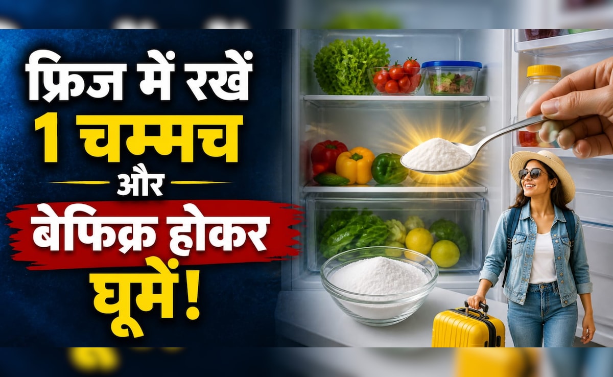 वेकेशन पर निकलने से पहले फ्रिज में क्यों रखना चाहिए 1 चम्मच? वजह जान चौक जाएंगे आप...