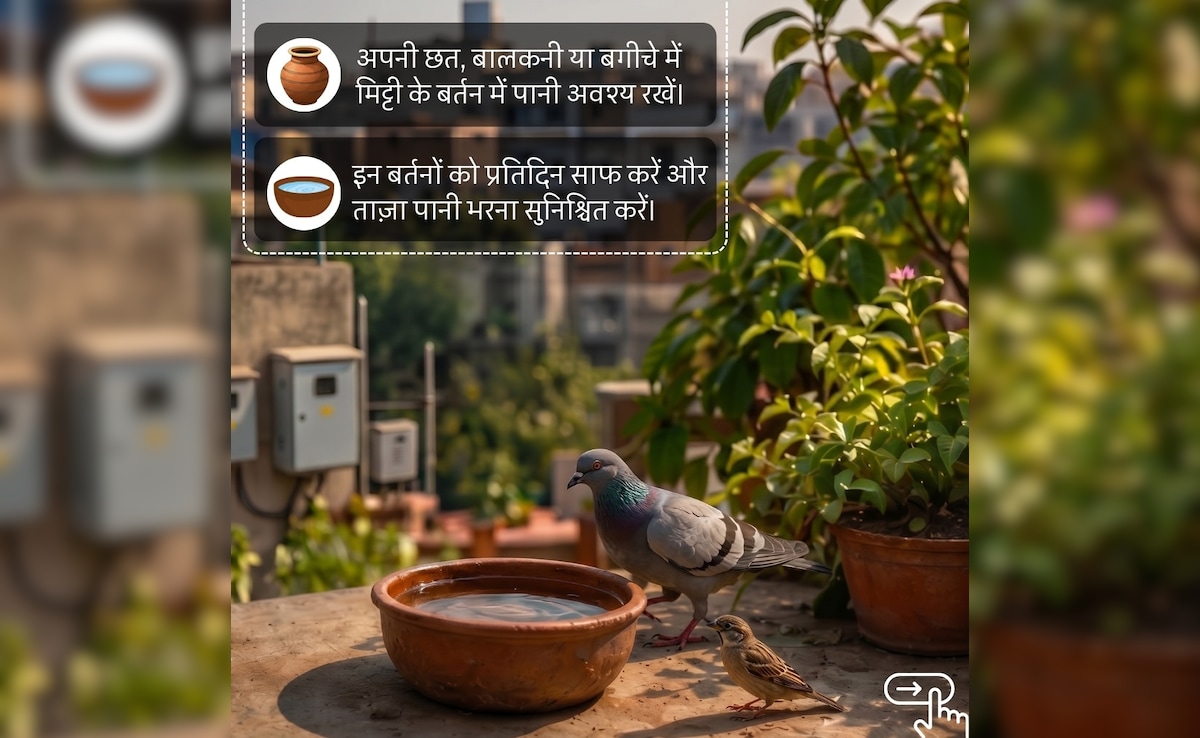 Latest and Breaking News on NDTV