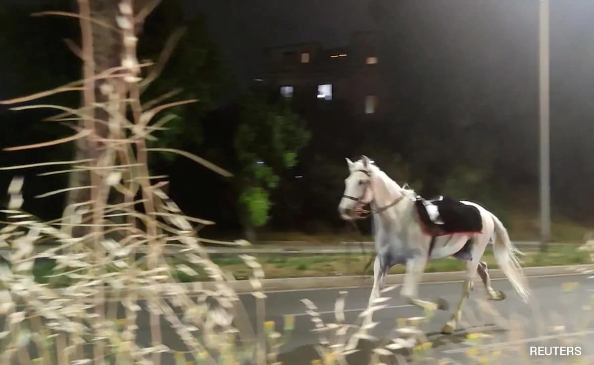 Horses Bolt Through Rome After Policeman Lights Fireworks At Parade Rehearsal