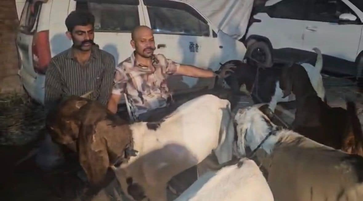 Durg Police: दुर्ग पुलिस बकरा व्यापारी के भेष में Durg Police: दुर्ग पुलिस बकरा व्यापारी के भेष में