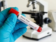 Ebola Outbreak: Over 900 Suspected Cases; 10 Major Updates