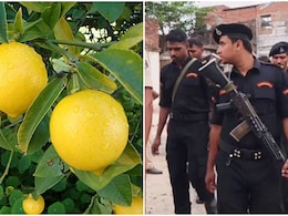 बिहार में एक नींबू तोड़ने पर बच्चे को पीट-पीट कर मार डाला, भीड़ बदला लेने पहुंची तो हुआ पथराव; 60 थानों की पुलिस तैनात