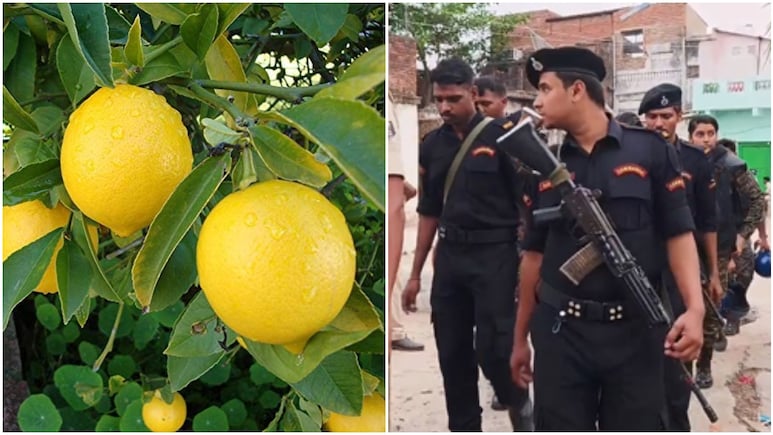 बिहार में एक नींबू तोड़ने पर बच्चे को पीट-पीट कर मार डाला, भड़की हिंसा के बाद छावनी में तब्दील हुआ गांव