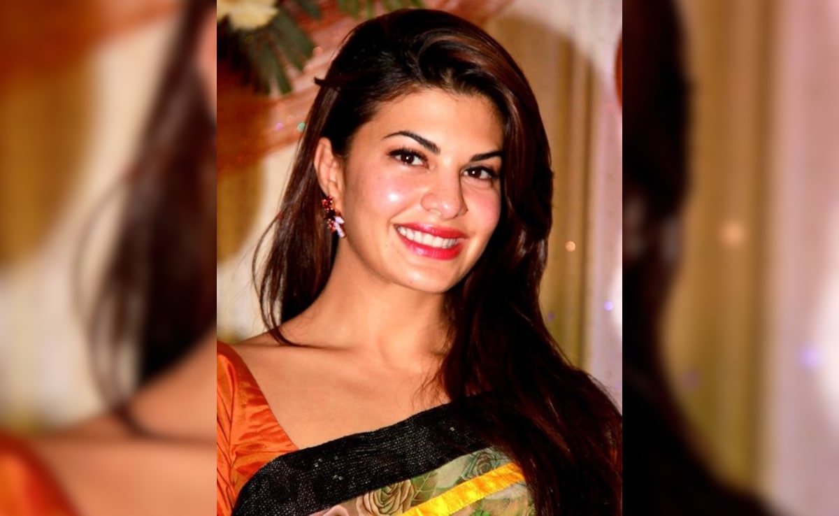 No Immunity: ED Rejects Jacqueline's Bid To Turn Approver In Rs 200-Crore PMLA Case